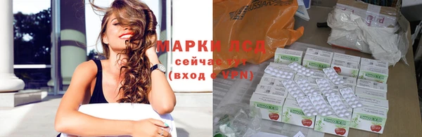 ПСИЛОЦИБИНОВЫЕ ГРИБЫ Верея