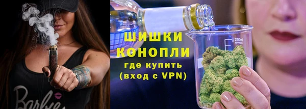 молекула духа Волосово