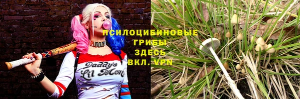 mix Верхний Тагил