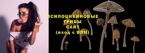 ПСИЛОЦИБИНОВЫЕ ГРИБЫ Верея
