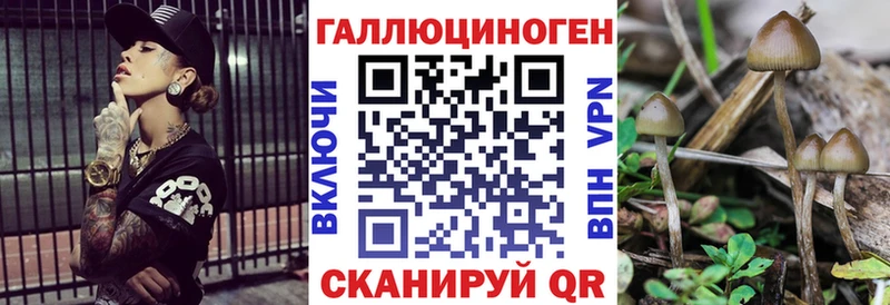 Псилоцибиновые грибы MAGIC MUSHROOMS  Верхний Уфалей 